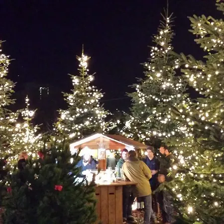 מלון Classic Meranerhof מראנו